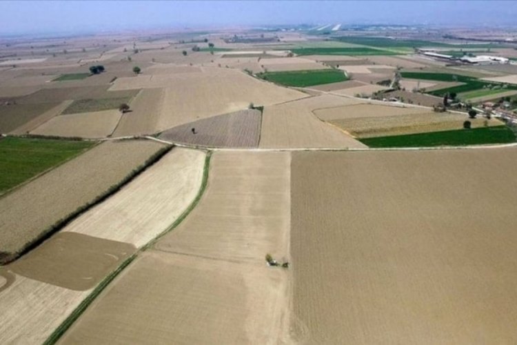 Arazi-parsel düzenlemesinde yeni dönem! Merak edilenler açıklandı