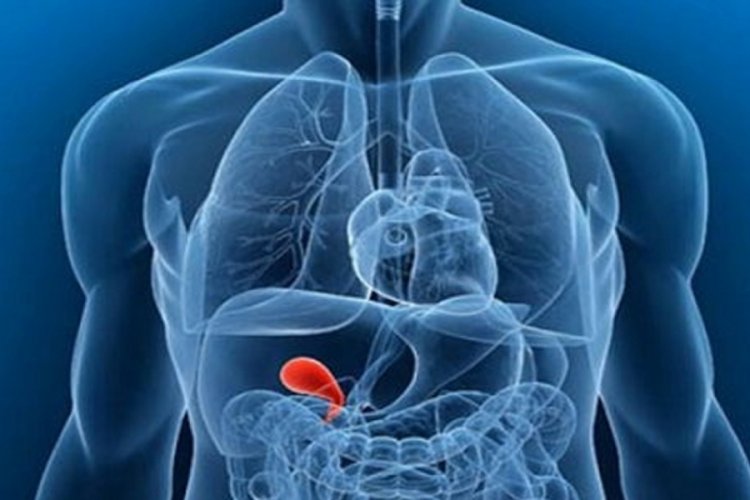 ERCP yöntemiyle safra ve pankreas sorunlarına ameliyatsız çözüm 