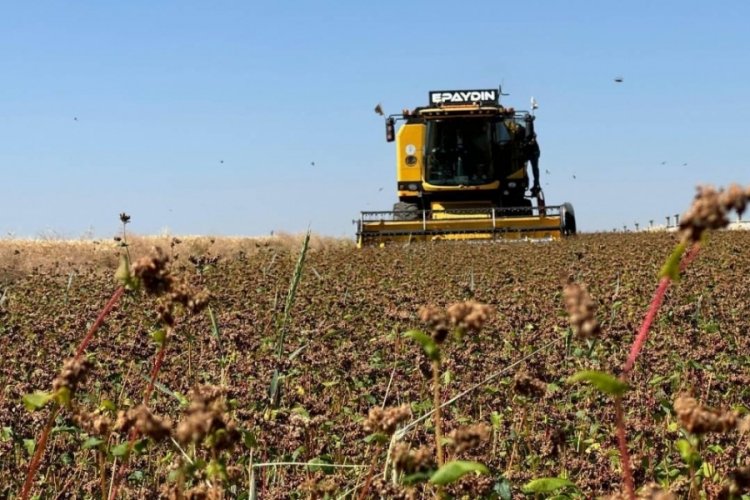 Çiftçilere destekleme ödemesi bugün yapılacak 