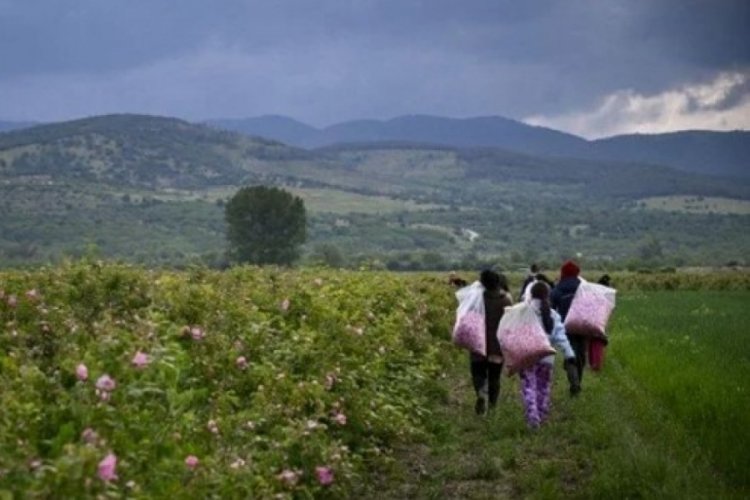 Avrupa'nın en az yaşayanları Bulgarlar