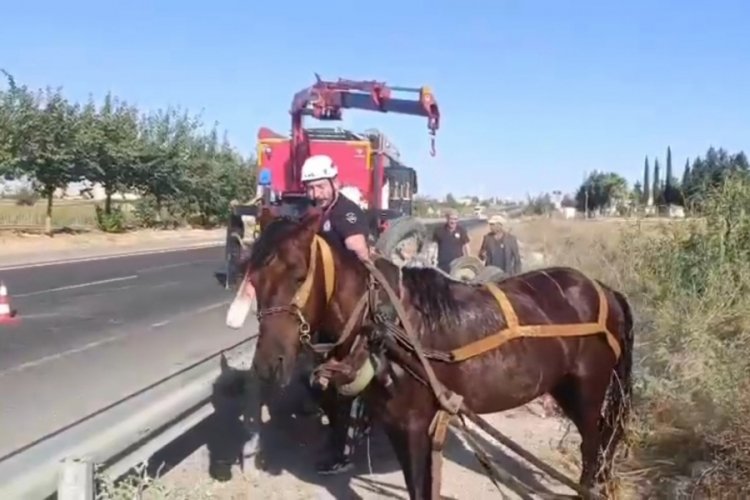 Tahliye kanalına düşen at kurtarıldı
