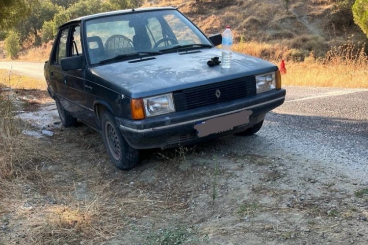 Çam fıstığı hırsızları jandarmaya yakalandı 