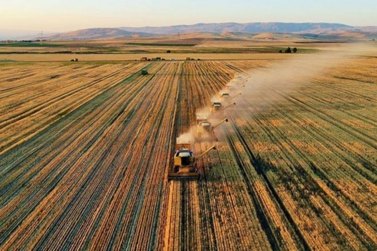 Tarım ÜFE ağustosta azaldı