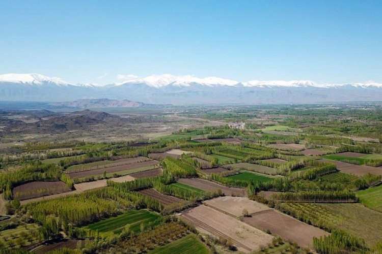 Bursa'da belediyeden rekor satış! Toplam değeri dudak uçuklatıyor...