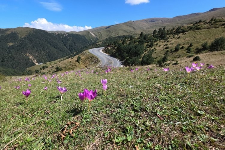 Doğal meteoroloji sistemi! Kendini gösterdi...