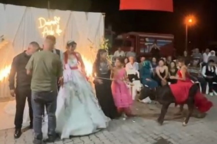 Düğünde böyle hediye görmediniz! Ağızlar açık kaldı