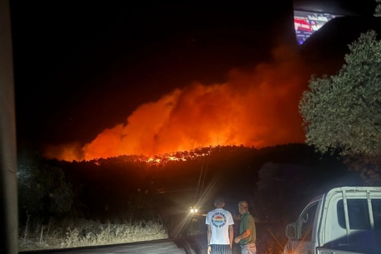 Muğla'da orman yangınına müdahale devam ediyor 