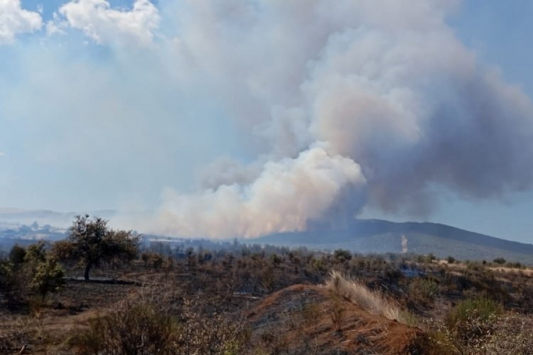 Çanakkale'de tarım arazisinde yangın çıktı
