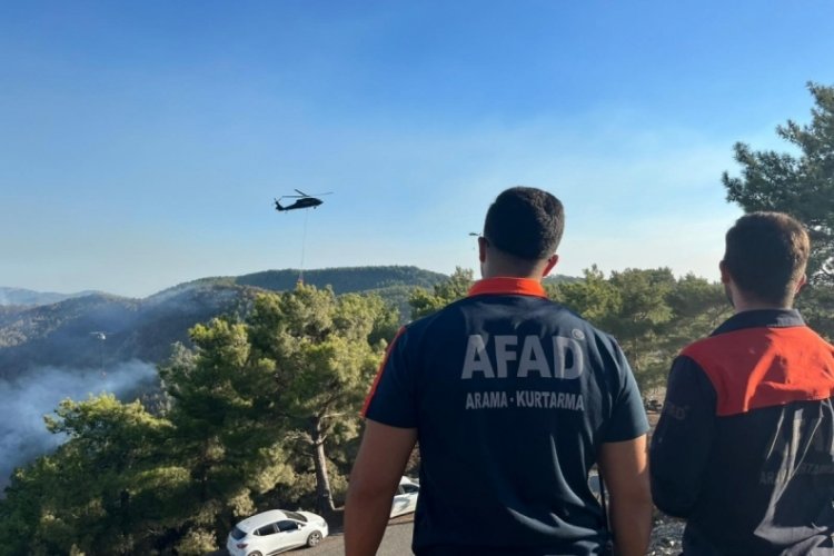 Alanya'da 3 mahalledeki orman yangını kontrol altında