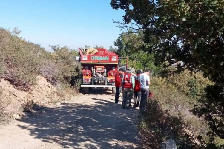 Konya'da orman yangını kısa sürede söndürüldü 