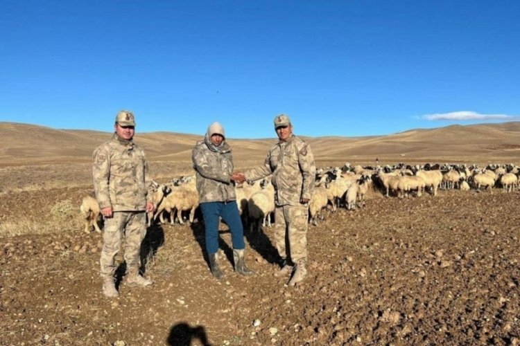 Kaybolan 300 koyun İHA desteği ile bulundu