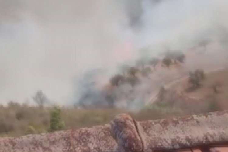 Hatay'da zeytinlik alanda çıkan yangın büyümeden söndürüldü 