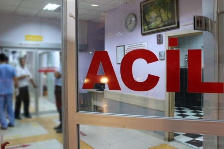 Ağaçtan düşen şahıs yaşamını yitirdi! 
