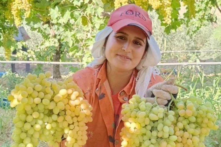 Üzüm yiyin, hastalıklardan korunun