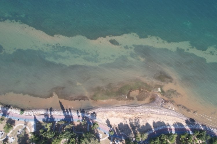 Yalova'da deniz suyu 5 metre çekildi 
