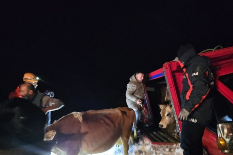 Yaylada 6 aracın üzerine çığ düştü; mahsur kalan 15 kişi kurtarıldı 