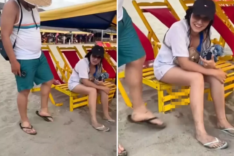Plajda mide bulandıran görüntüler! Şezlongda otururken tuvaletini yaptı
