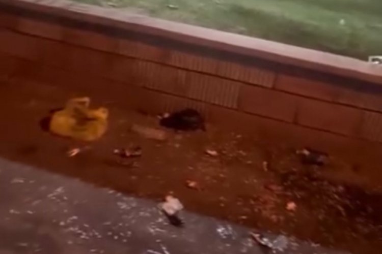 Bursa'da mahalle sakinlerinden tepki! Kötü koku...