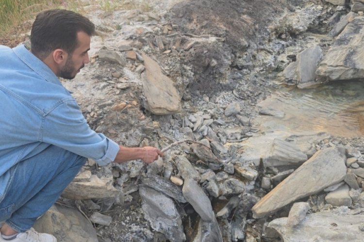 Esrarengiz vadi herkesin dilinde! Hayvanlara ölüm saçıyor