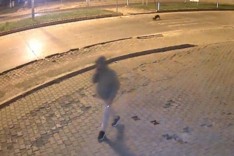 Market önünde ses fişeği patlatıldı, polis çalışma başlattı