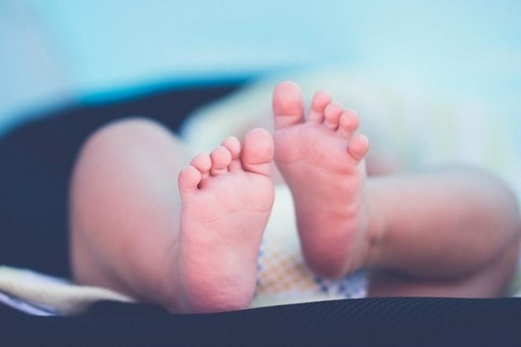 25 yıl sonra ortaya çıkan vahşet! Annesine kızıp yapmış, tüyler ürperten itiraf