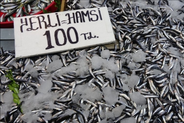 Son yılların en bereketli "hamsi" sezonu! Kilosu bakın kaç liraya geriledi