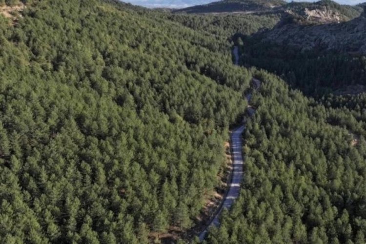 Efsane çözüldü: İki şehir el ele verdi, yılların sorunlu yolu yenilendi!