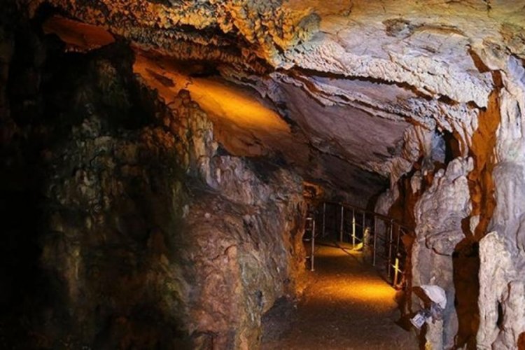 Sırrı hala çözülemedi! Dünyada eşi benzeri yok, 150 bini geçti