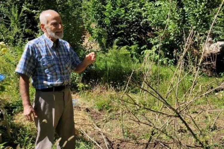 Köye musallat oldular! Korkudan evden çıkamıyorlar: Can güvenliğimiz yok