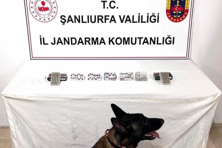 Şanlıurfa'da uyuşturucu madde ele geçirildi