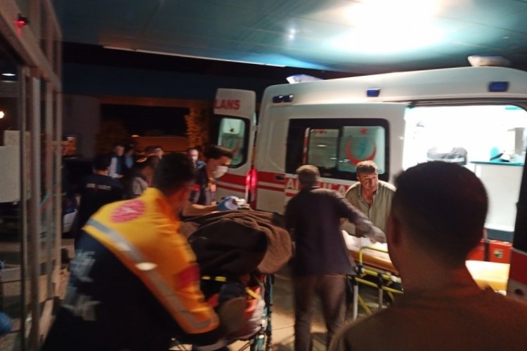 Bursa'da koyununu kurtarmak isterken 70 metrelik yamaçtan düşerek yaralandı!