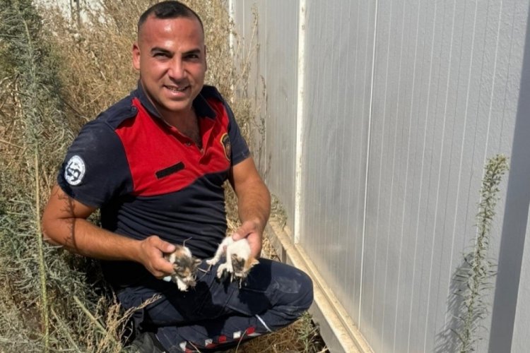 Konteynerin altında mahsur kalan kedileri itfaiye kurtardı