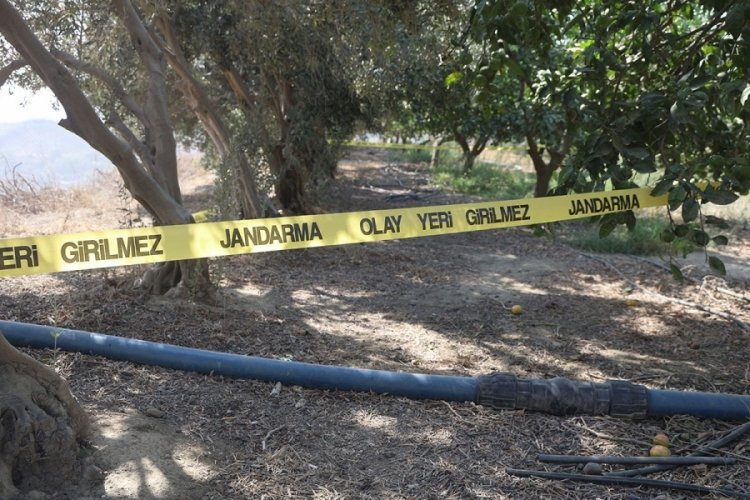 Mandalina bahçesinde dehşet! Hemşehrisini önce satırla öldürdü, sonra parasını aldı