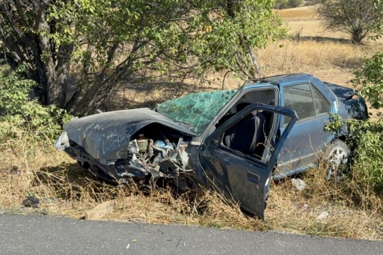 Kazada kopan tekerlek ağacın üzerine fırladı