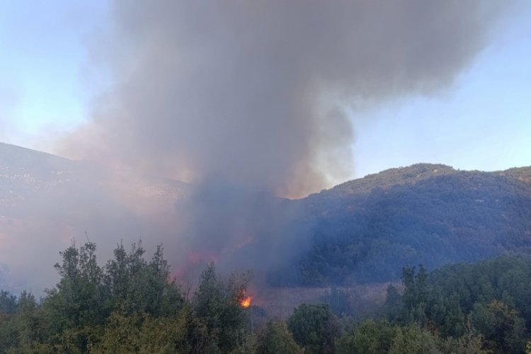 Burdur'da tarlada çıkan yangın ormanlık alana sıçradı