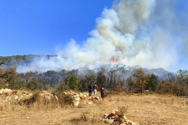 Burdur'da orman yangını! 