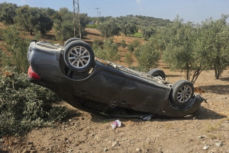 Hatay'da zeytin bahçesine uçan otomobildeki 3 kişi yaralandı