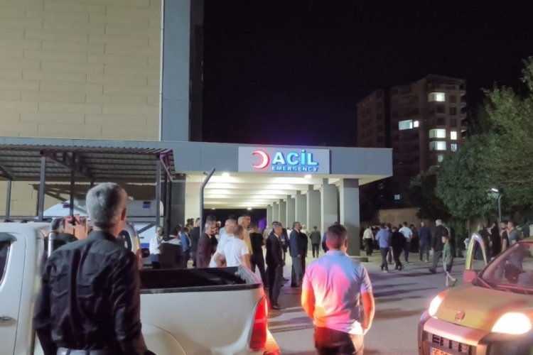 Ceviz silkelerken ağaçtan düşen eski muhtar öldü
