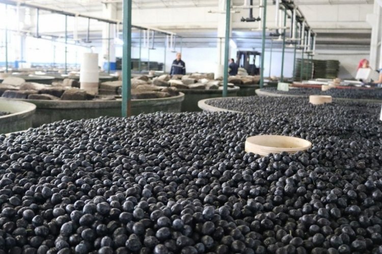 Bursa'da ilk haftada bin 600 ton...