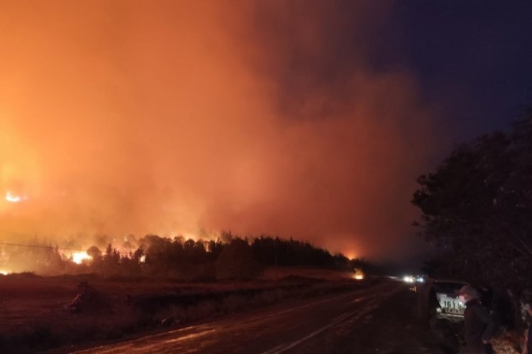 Bursa'da orman yangını...Rüzgarın etkisiyle büyüdü 