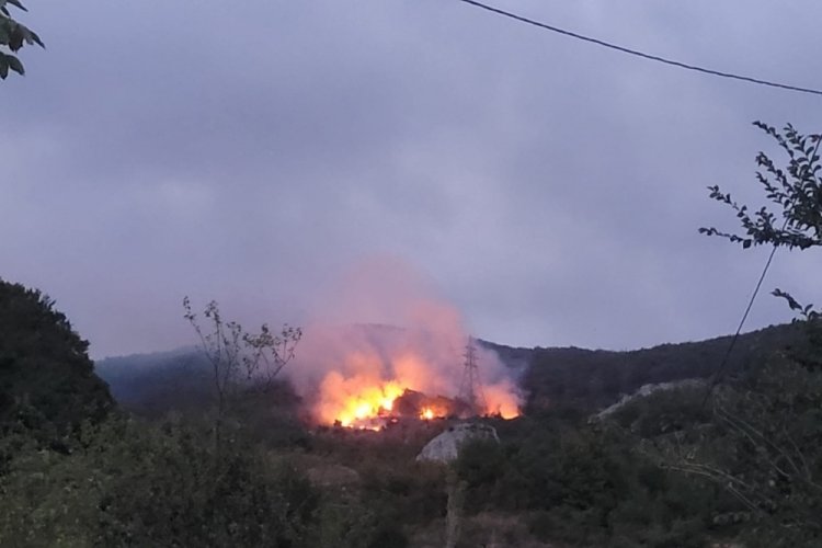 Sakarya'da ormanlık alanda çıkan yangın kontrol altına alındı 