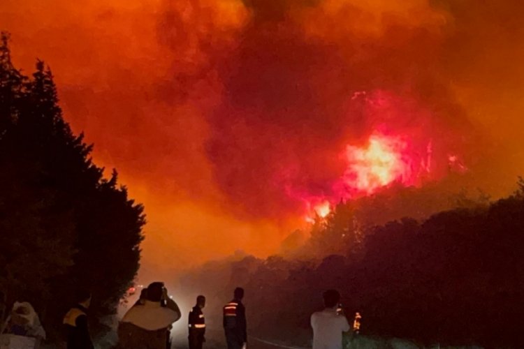 Bursa'daki orman yangınından rahatlatan haber geldi! 