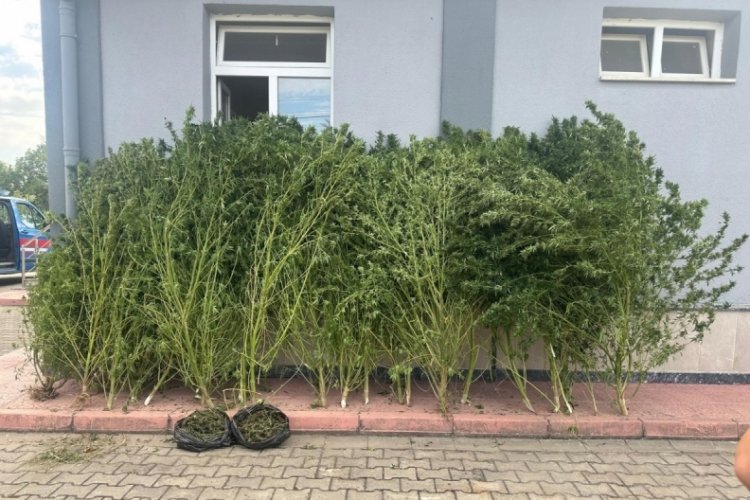 Bursa'da çok sayıda uyuşturucu ele geçirildi!