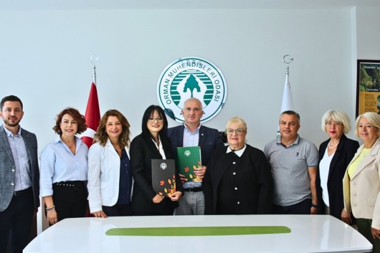 Ormanları korumak için örnek iş birliği