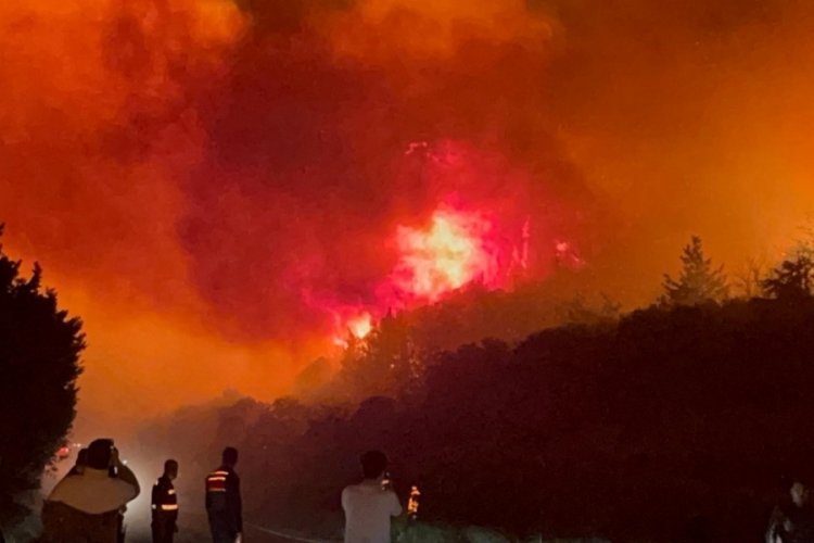 Bursa'da küle dönen ormanlık alan görüntülendi!