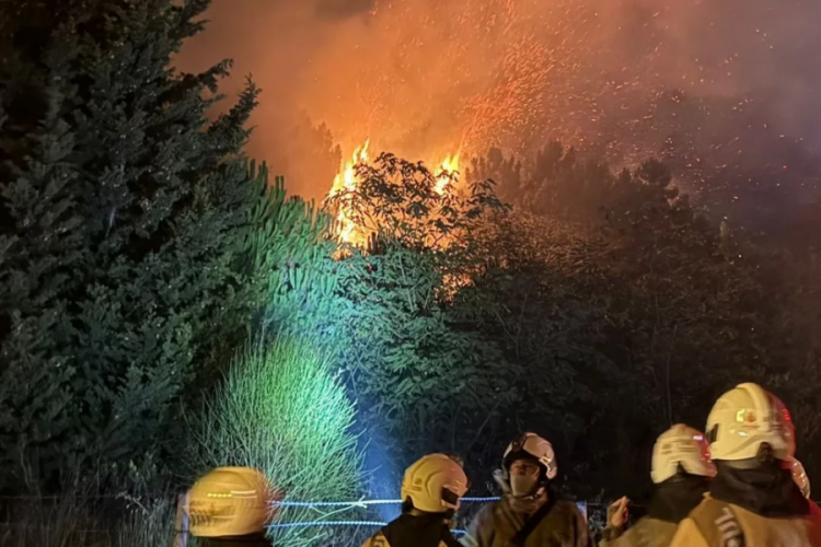 İstanbul'da orman yangını: Bir anda alevler yükseldi