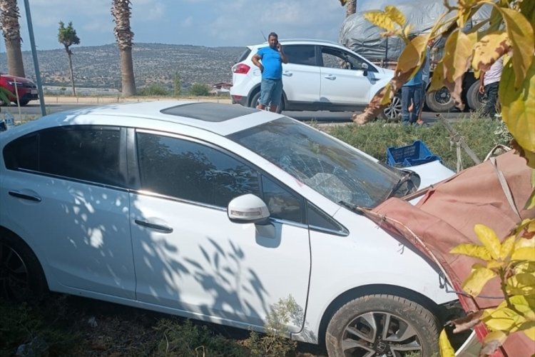 Mersin'de otomobilin zeytin toplayan işçilere çarptığı kazada ölü sayısı 2'ye çıktı 