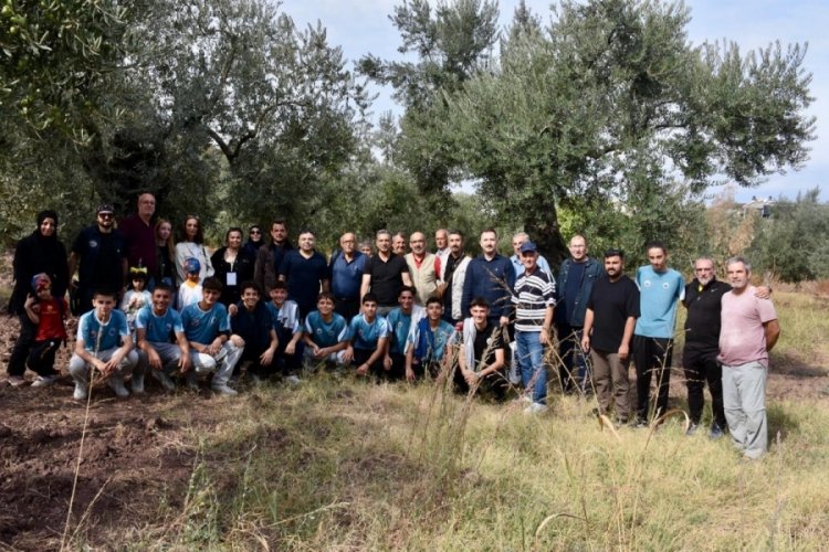 Gemlik'te 400 yıllık zeytin ağaçlarına Zeytin Rotası Keşif Yürüyüşü 