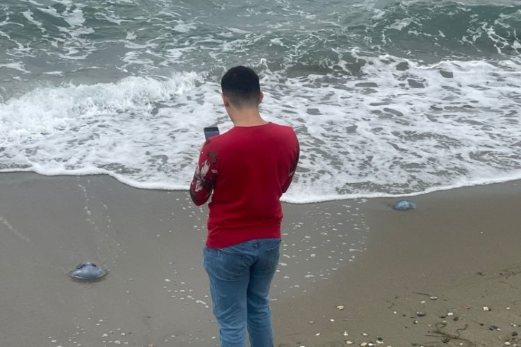 Bursa'da kabusu yaşıyorlardı! Yine karşılaştılar