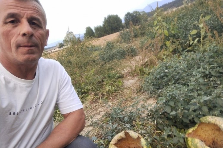 Kargalar 80 karpuzu delik deşik etti